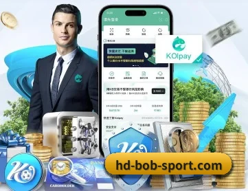 BOB体育 APP