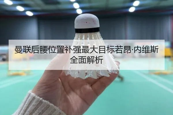 曼联后腰位置补强最大目标若昂·内维斯全面解析